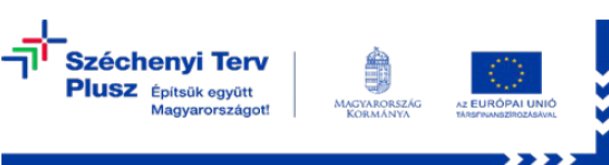 GINOP Plusz pályázat